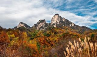 老君山风景区门票价格