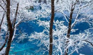 四川这个地方下雪了