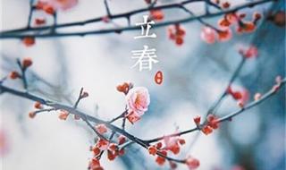 2月4号立春几点几分立春