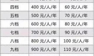 新农保2023缴费价格表